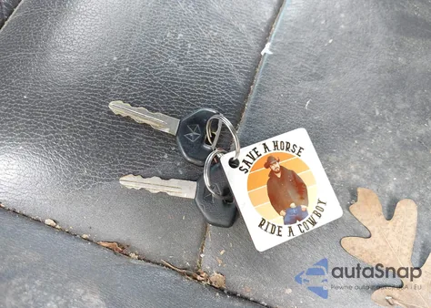 2000 Dodge Durango из США, поврежденный, VIN 1B4HS28N6YF200766